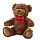 Adorable Plush Bear – Pavilions, Pleasanton CA
