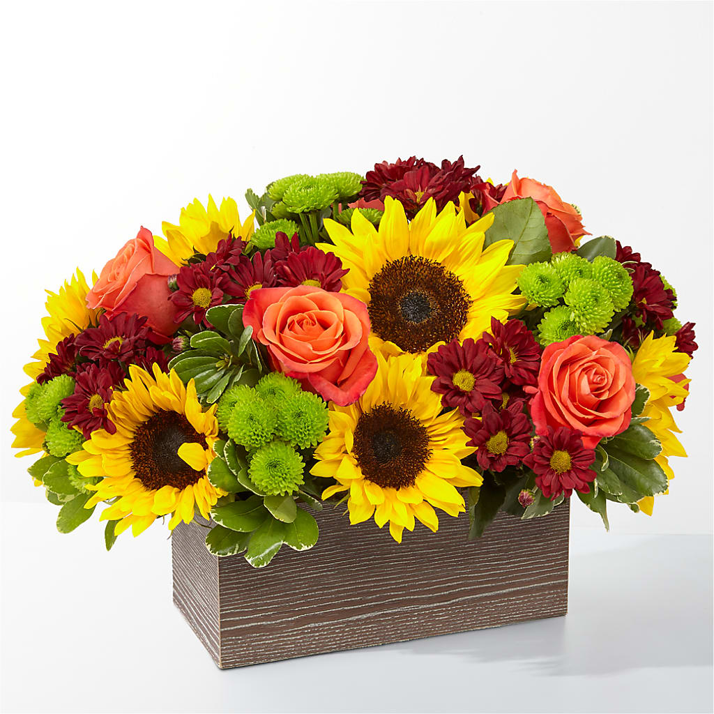 Happy Harvest Garden – Pavilions, Pleasanton CA