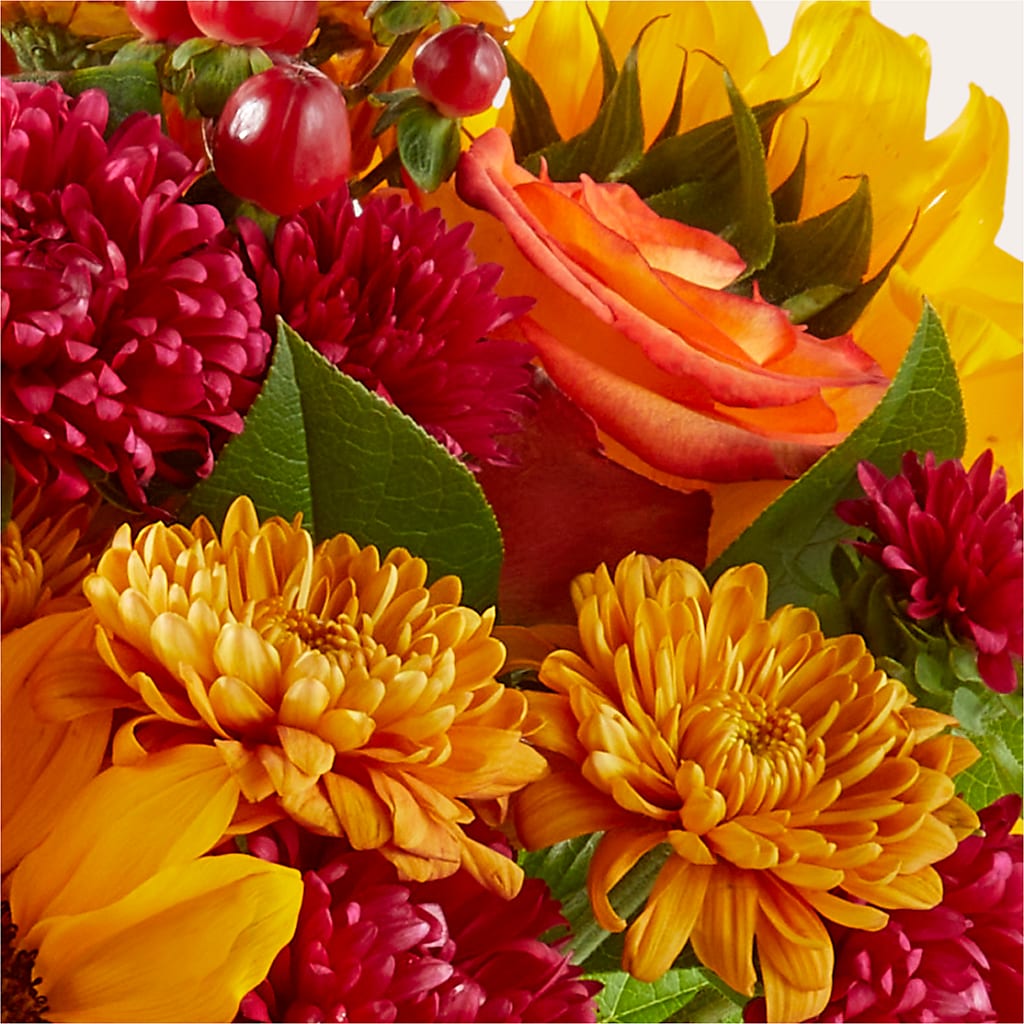Sweater Season - A Florist Original – Pavilions, Pleasanton CA