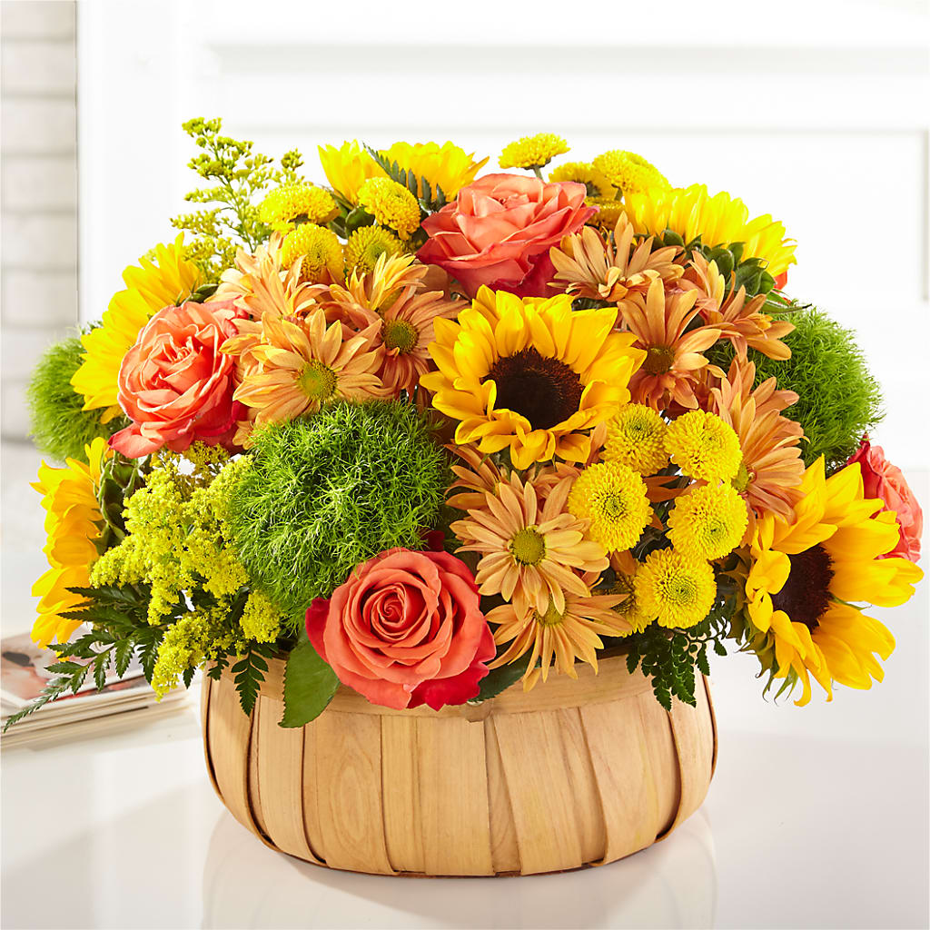 Harvest Sunflower Basket – Pavilions, Pleasanton CA