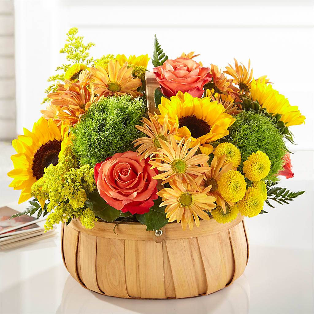 Harvest Sunflower Basket – Pavilions, Pleasanton CA