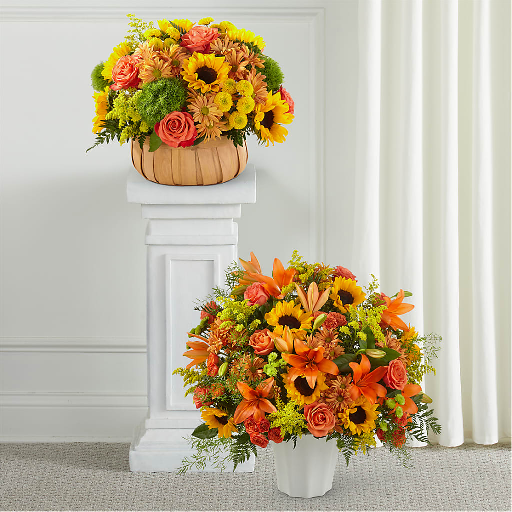 Heart of Gold Bundles – Pavilions, Pleasanton CA