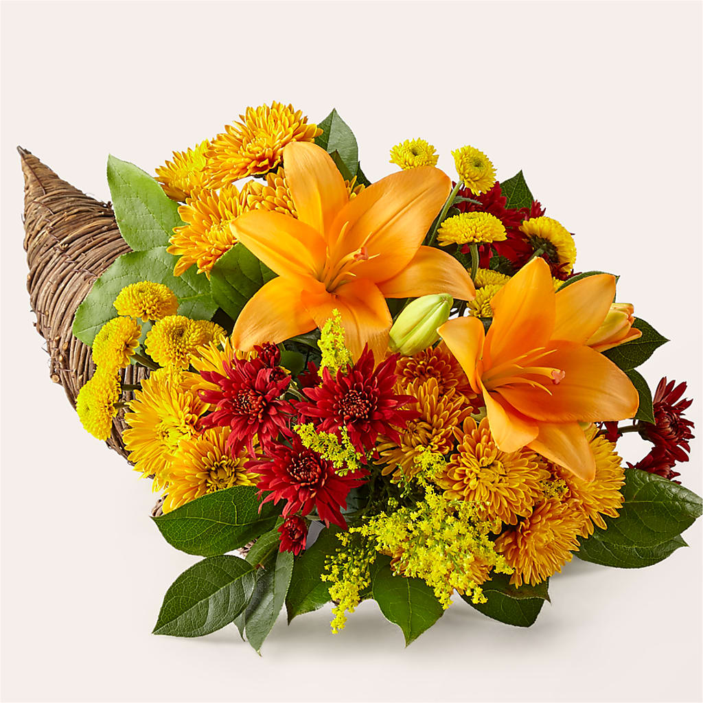 Feast of Color Cornucopia – Pavilions, Pleasanton CA