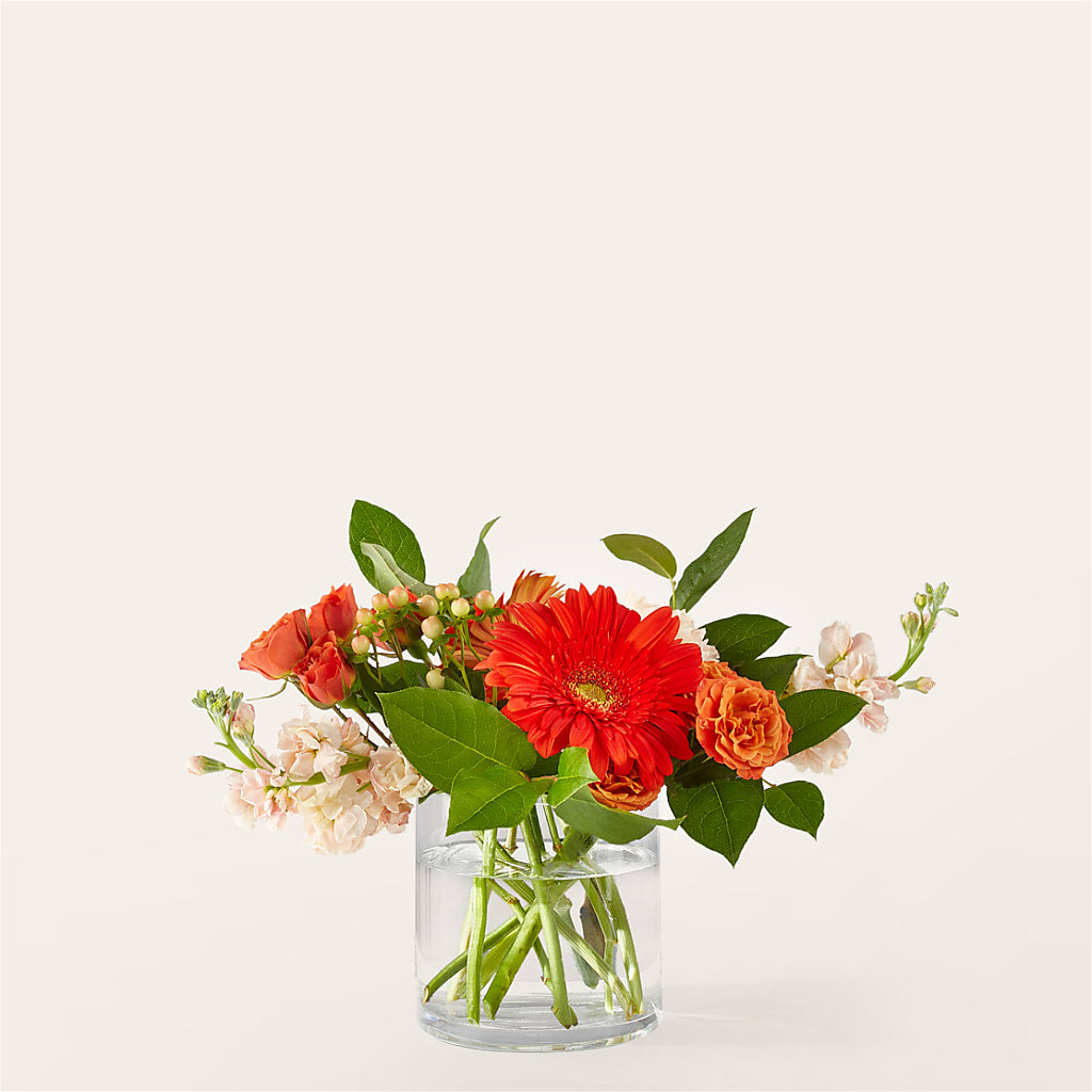 Paloma Please Bouquet – Pavilions, Pleasanton CA