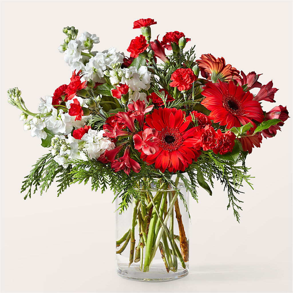 Holidaisy Bouquet – Pavilions, Pleasanton CA