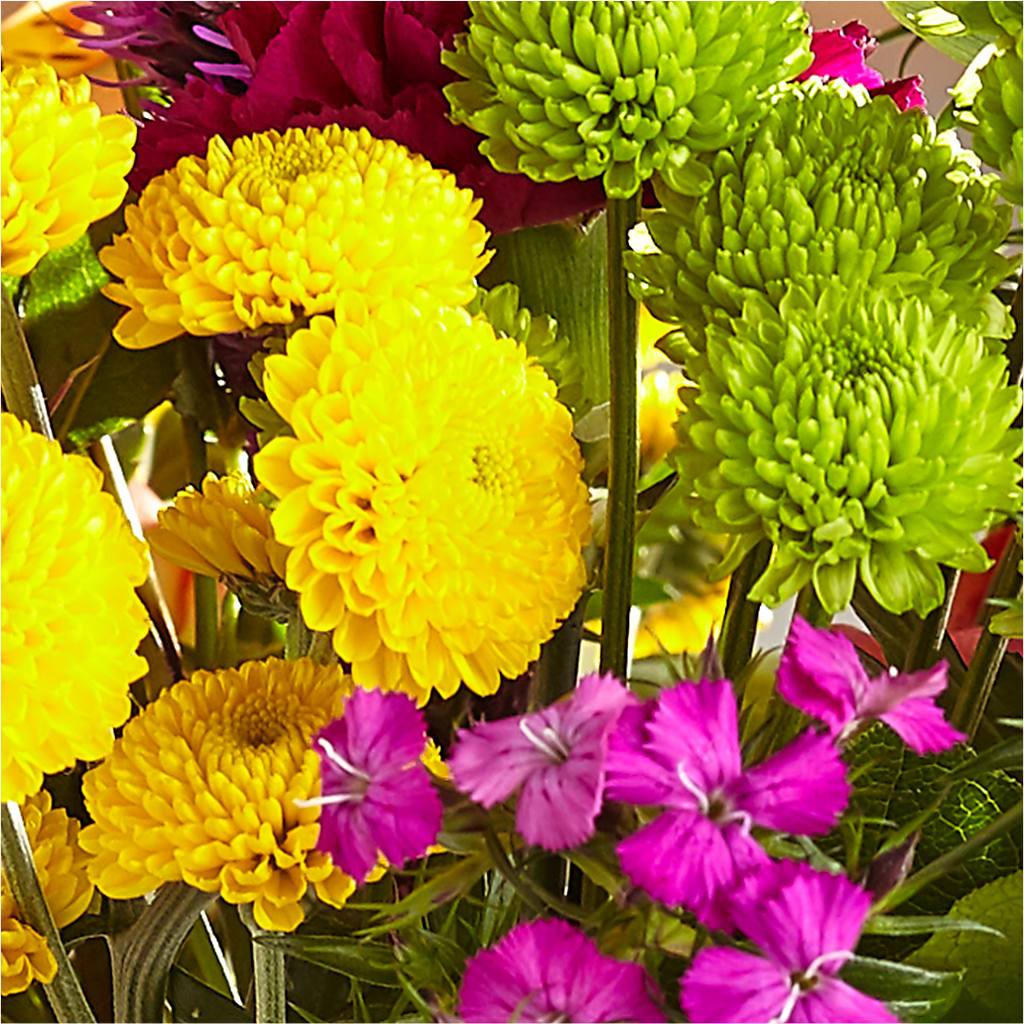 Bold & Bright – A Florist Original –  Pavilions, Pleasanton CA