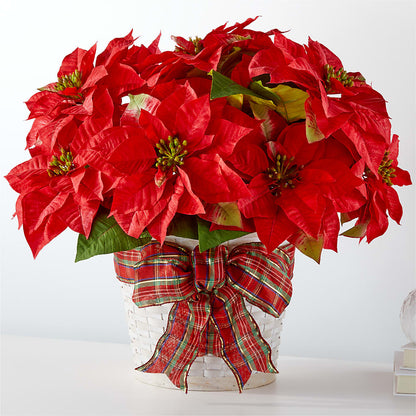 Happiest Holidays Poinsettia –  Pavilions, Pleasanton CA