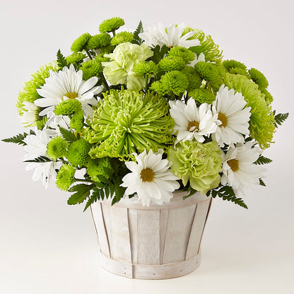 Lucky Charm Basket (Standard) –  Pavilions, Pleasanton CA