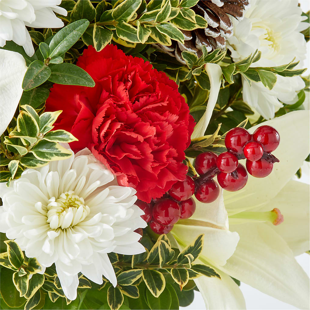 Festive Moments Tree –  Pavilions, Pleasanton CA