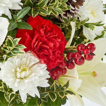 Festive Moments Tree –  Pavilions, Pleasanton CA