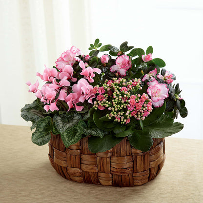 Pink Assortment –  Pavilions, Pleasanton CA