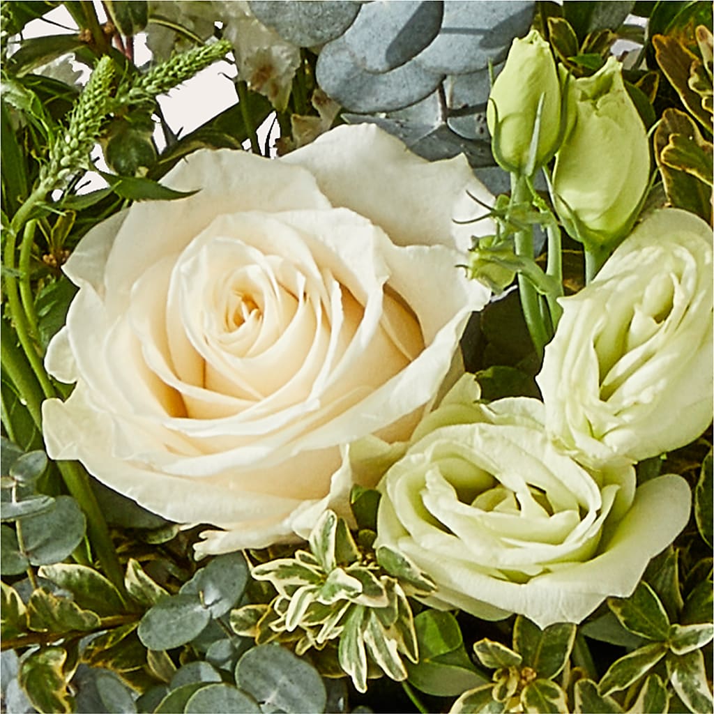 Cashmere Bouquet –  Pavilions, Pleasanton CA