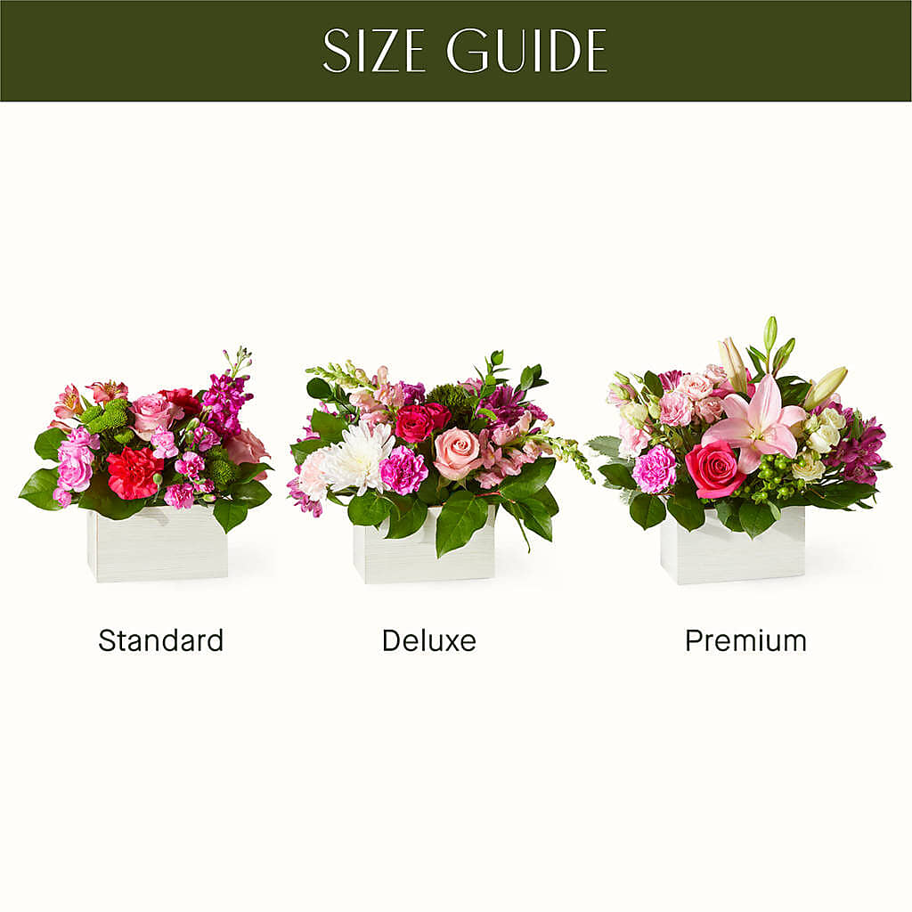 Sweetberry Box – A Florist Original –  Pavilions, Pleasanton CA