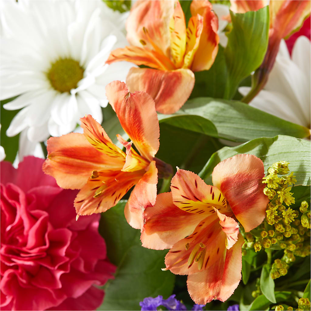 Oopsie Daisy Box Bouquet –  Pavilions, Pleasanton CA