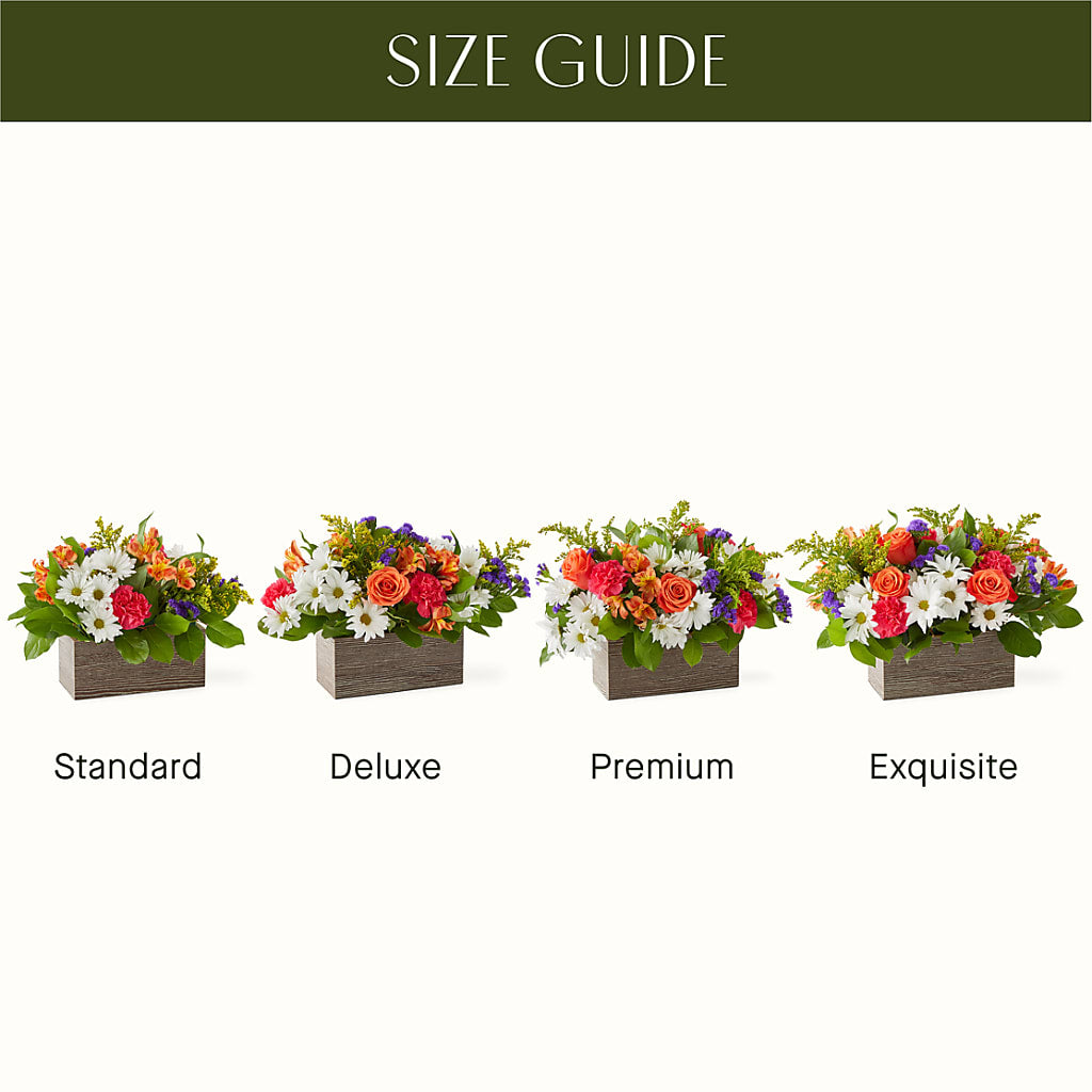 Oopsie Daisy Box Bouquet –  Pavilions, Pleasanton CA