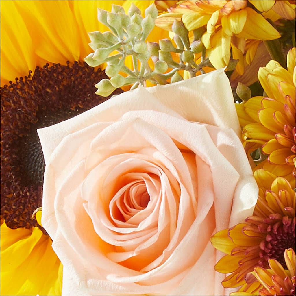 Pumpkin to Talk About Bouquet –  Pavilions, Pleasanton CA