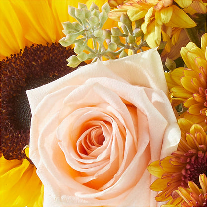 Pumpkin to Talk About Bouquet –  Pavilions, Pleasanton CA