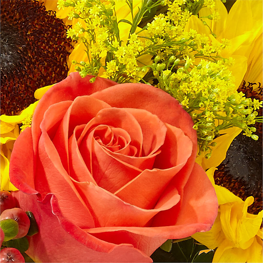Pick of the Patch Pumpkin Bouquet –  Pavilions, Pleasanton CA