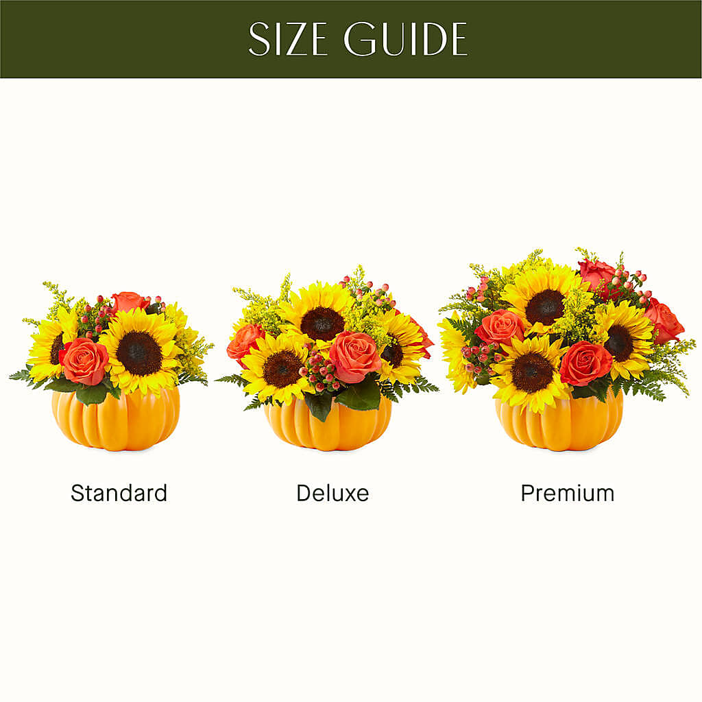 Pick of the Patch Pumpkin Bouquet –  Pavilions, Pleasanton CA