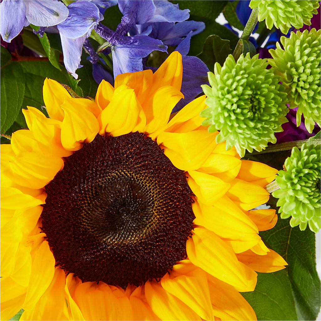 Catching Rays Bouquet –  Pavilions, Pleasanton CA