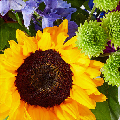 Catching Rays Bouquet –  Pavilions, Pleasanton CA