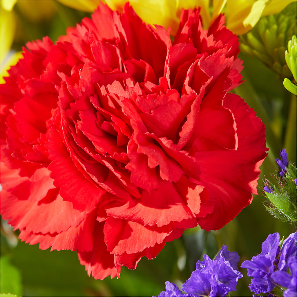 Brighter Days Bouquet –  Pavilions, Pleasanton CA