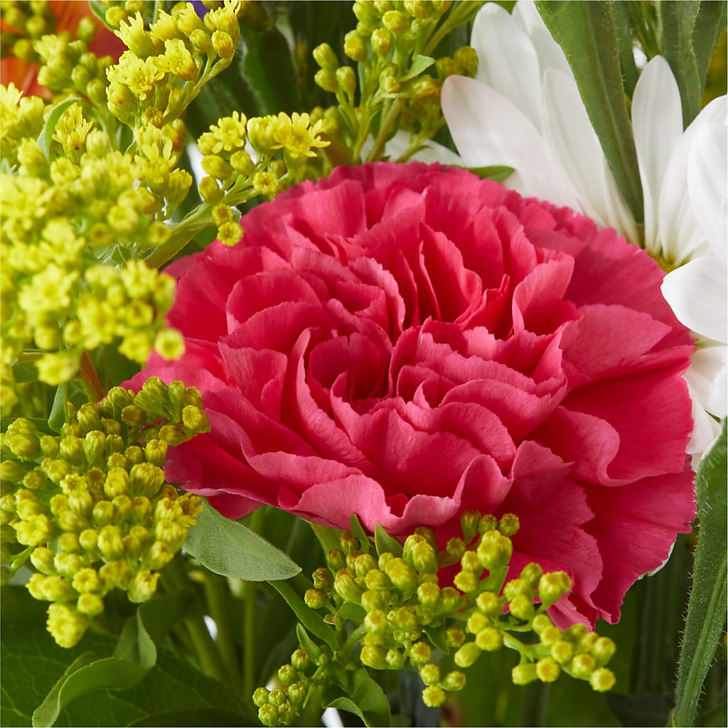 Oopsie Daisy Bouquet –  Pavilions, Pleasanton CA