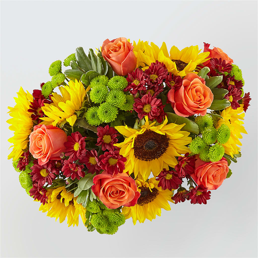 Happy Harvest Garden –  Pavilions, Pleasanton CA