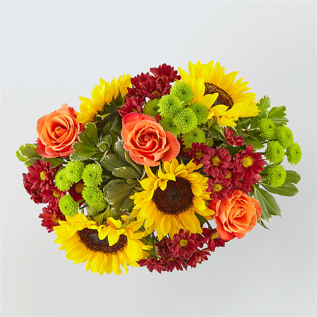 Happy Harvest Garden –  Pavilions, Pleasanton CA
