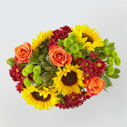 Happy Harvest Garden –  Pavilions, Pleasanton CA