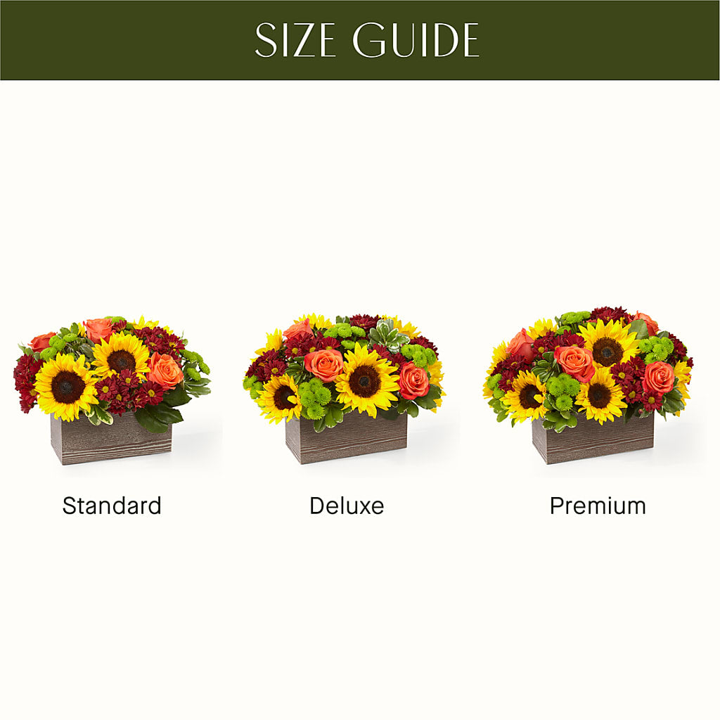 Happy Harvest Garden –  Pavilions, Pleasanton CA