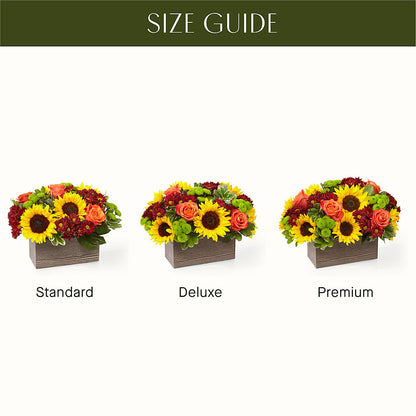 Happy Harvest Garden –  Pavilions, Pleasanton CA