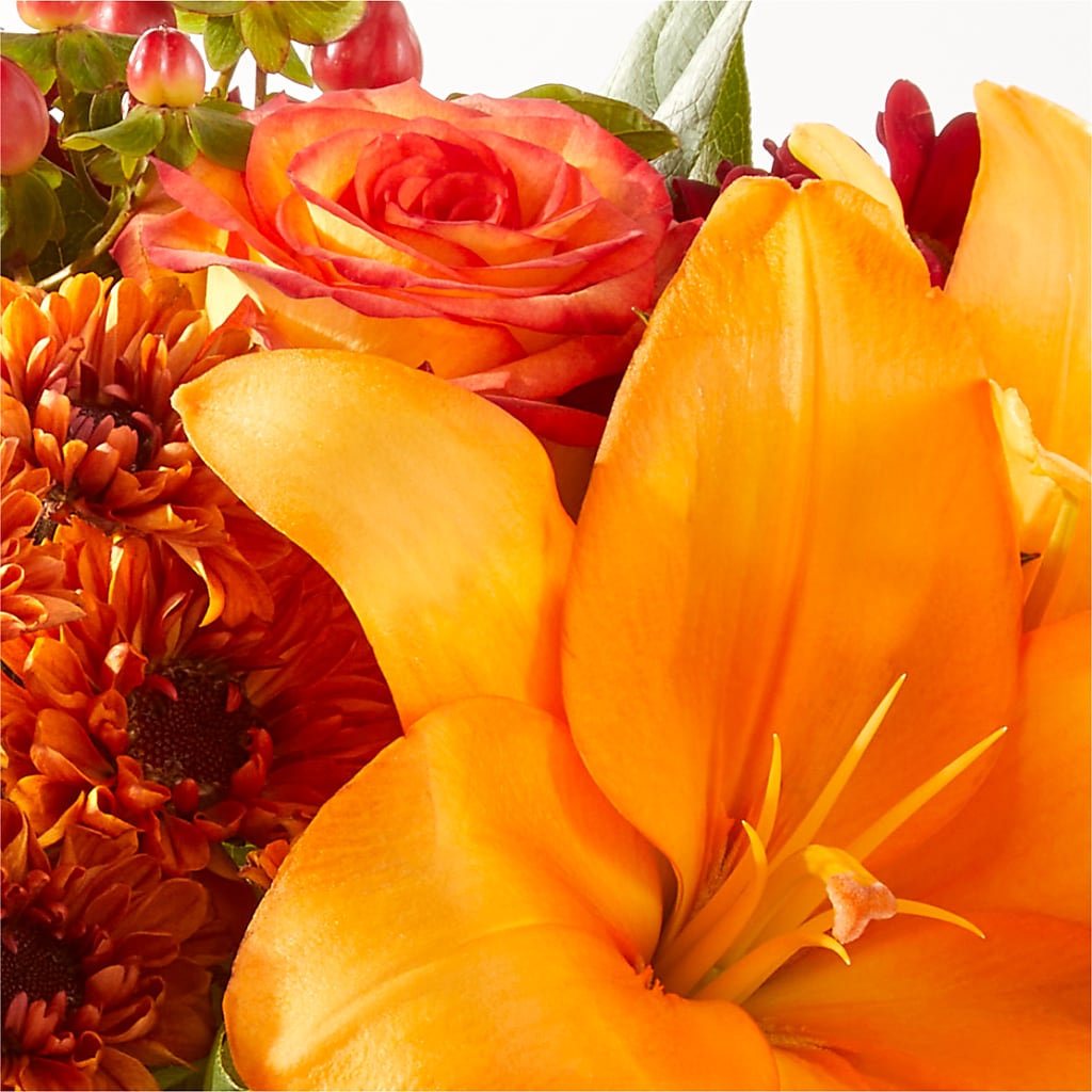 Backyard Bonfire Bouquet –  Pavilions, Pleasanton CA