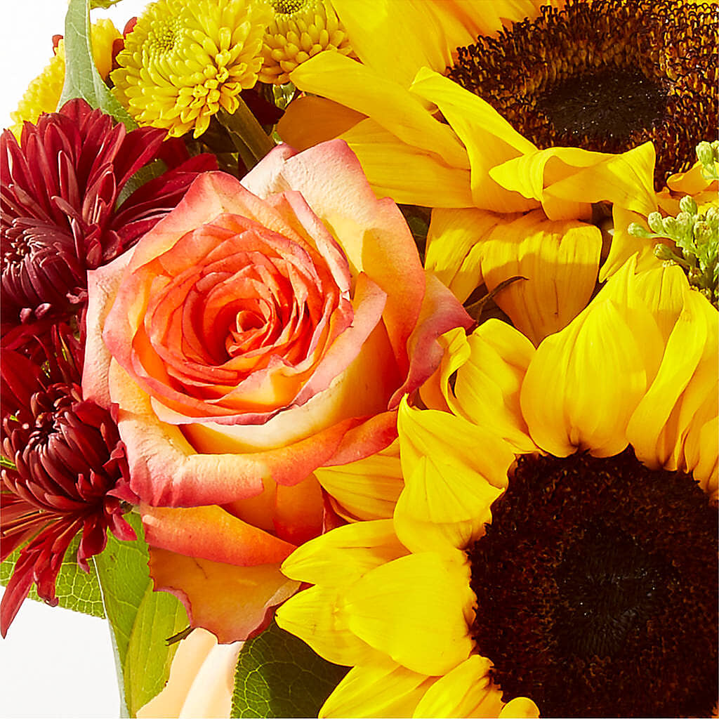 Golden Gourd Pumpkin Bouquet –  Pavilions, Pleasanton CA