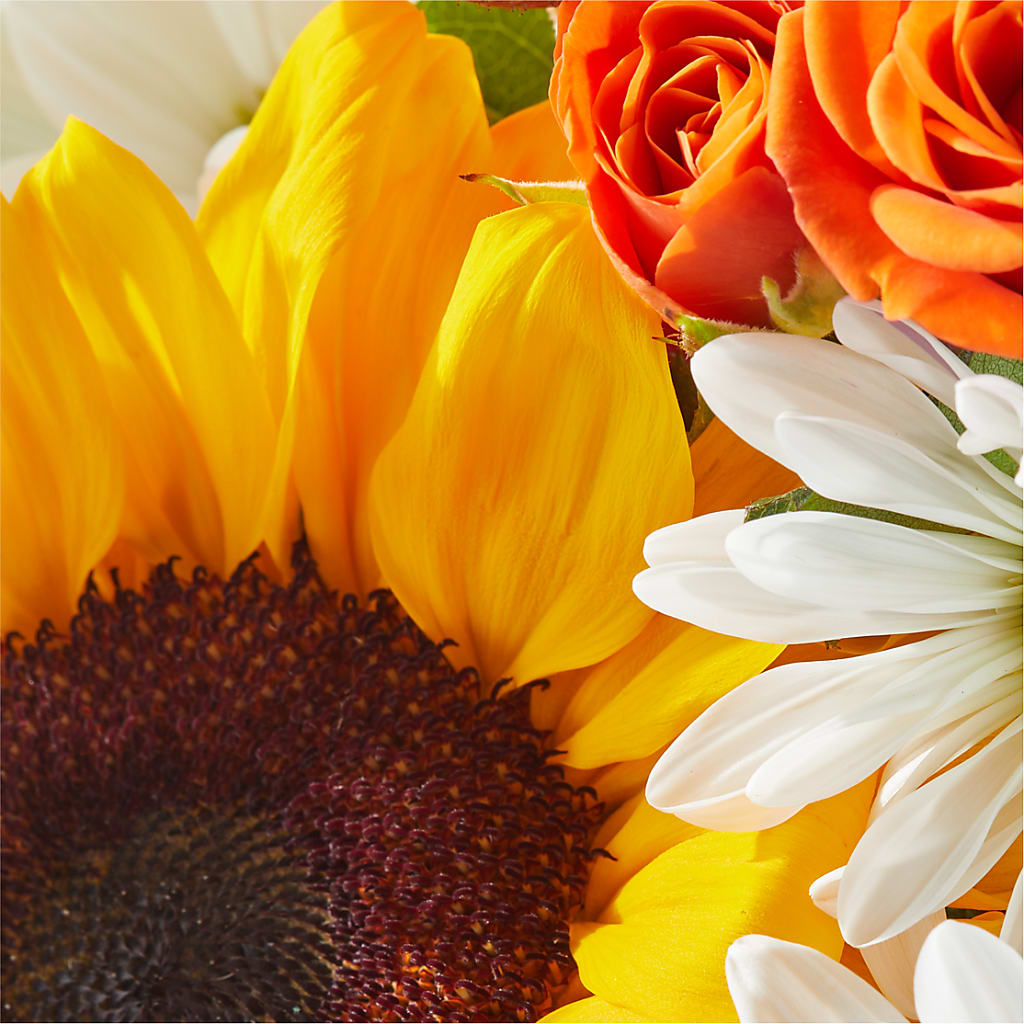 Sun-drenched Blooms Box Bouquet –  Pavilions, Pleasanton CA