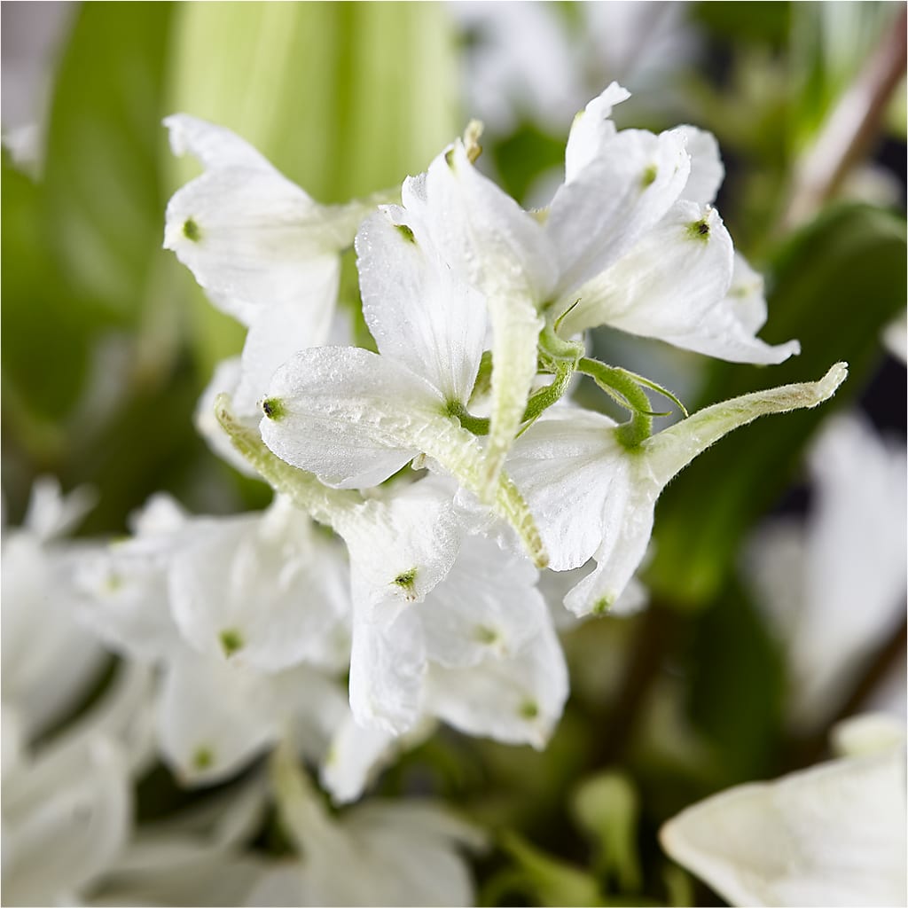 Classic Ivory – A Florist Original –  Pavilions, Pleasanton CA