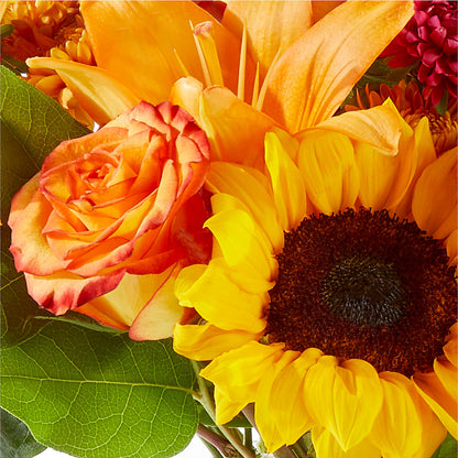 Fall Day Bouquet –  Pavilions, Pleasanton CA