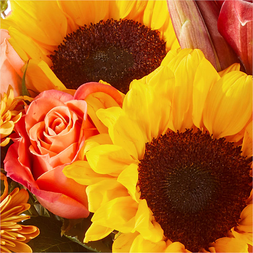 Acorn Lane Bouquet –  Pavilions, Pleasanton CA