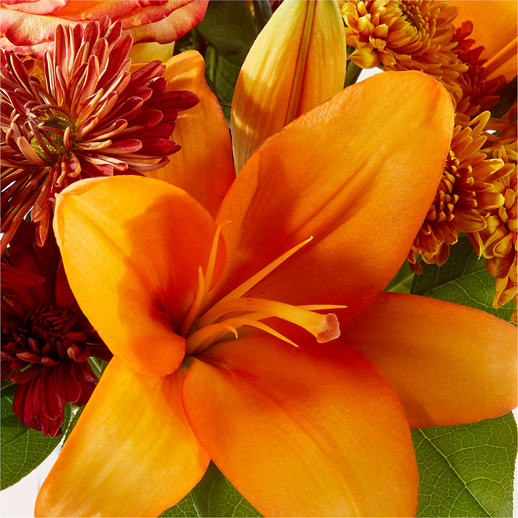 Autumnal Aroma Bouquet –  Pavilions, Pleasanton CA