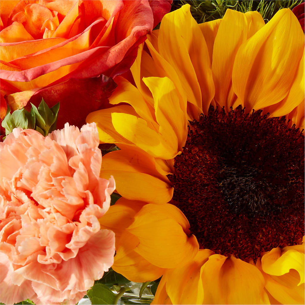 Harvest Festival Bouquet –  Pavilions, Pleasanton CA