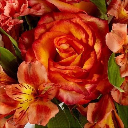 Apricot Glow Bouquet –  Pavilions, Pleasanton CA