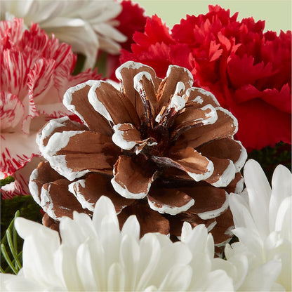 Candy Cane Lane Bouquet –  Pavilions, Pleasanton CA