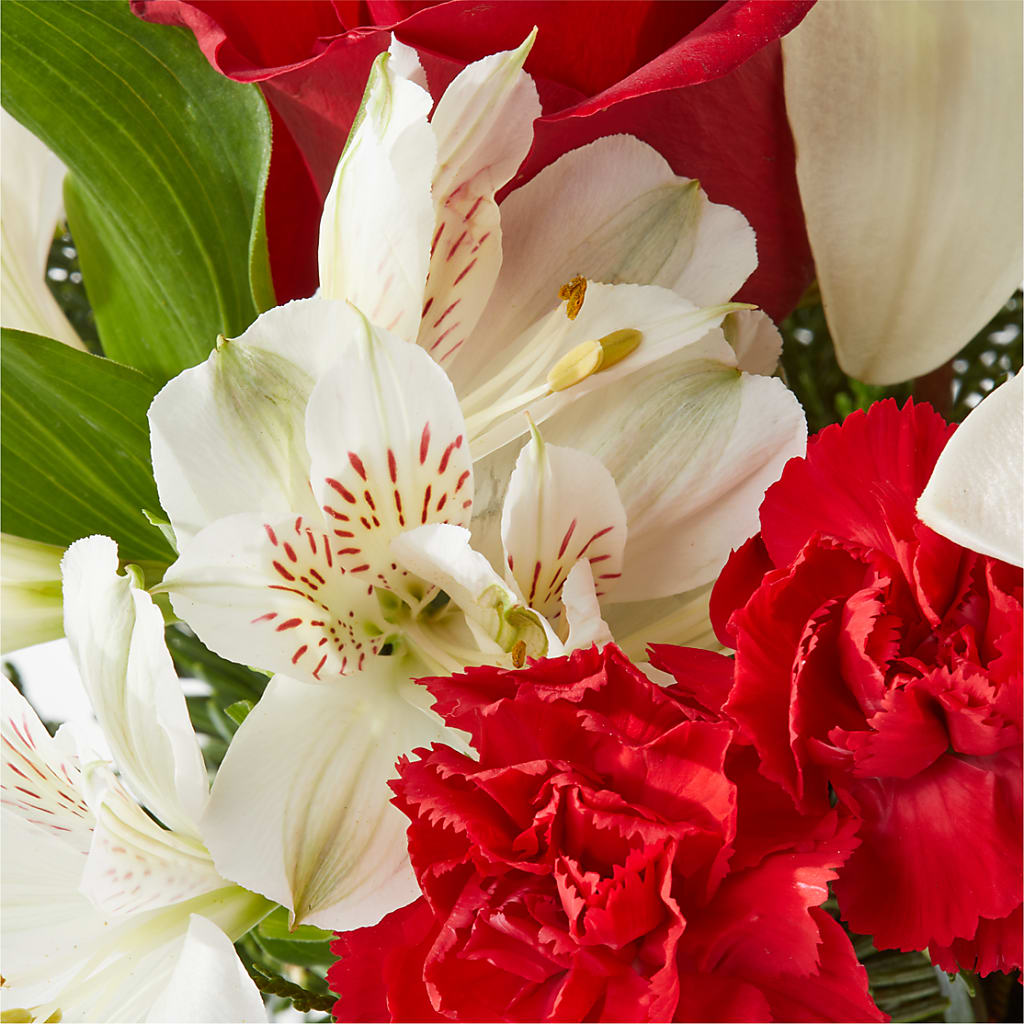 Holiday Season Bouquet –  Pavilions, Pleasanton CA