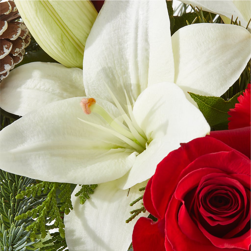 Oh So Jolly Bouquet –  Pavilions, Pleasanton CA