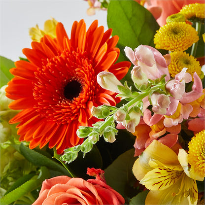 Autumn Sunshine Bouquet –  Pavilions, Pleasanton CA