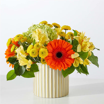 Autumn Sunshine Bouquet with Ivory Vase –  Pavilions, Pleasanton CA