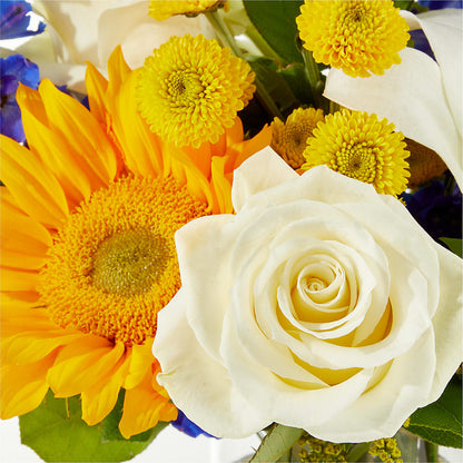 Stargazing Bouquet –  Pavilions, Pleasanton CA