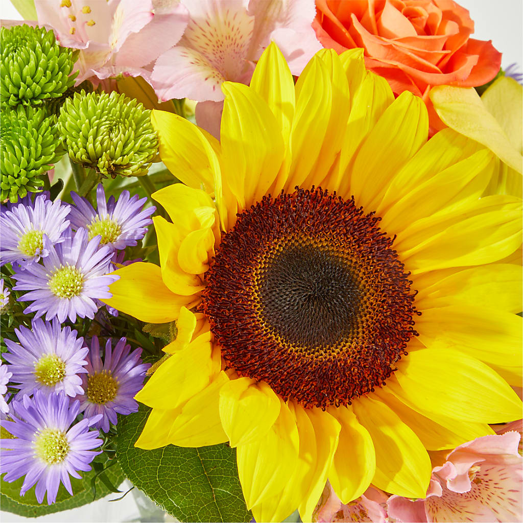 Basking in the Glow Bouquet –  Pavilions, Pleasanton CA