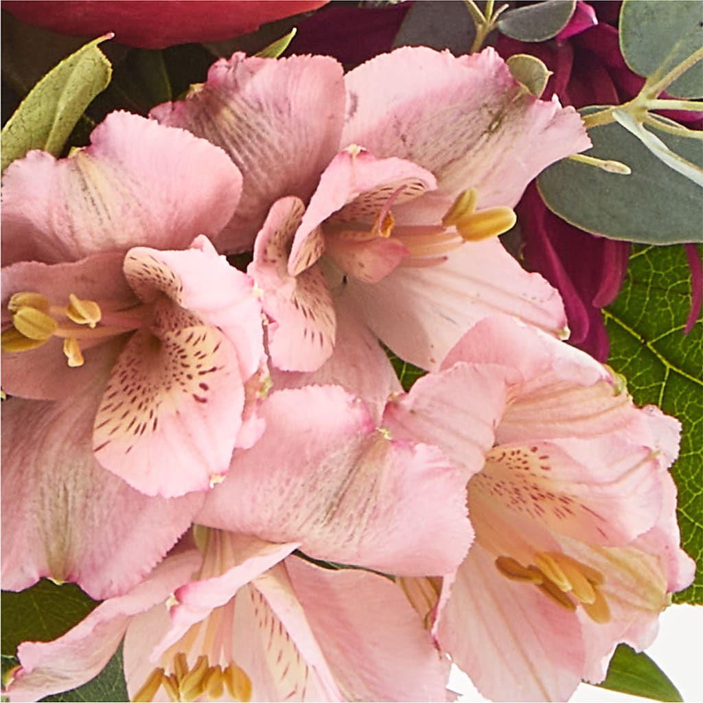 Berry Cobbler Bouquet –  Pavilions, Pleasanton CA