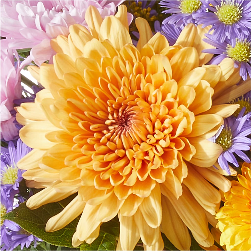Countryside Bouquet –  Pavilions, Pleasanton CA